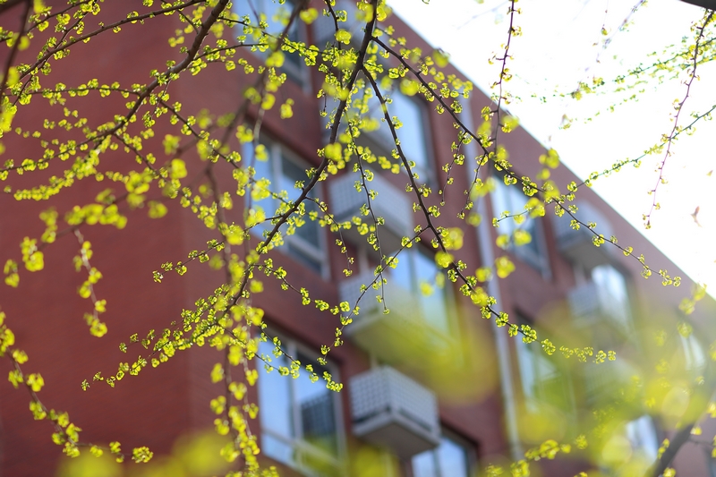 恒峰g22-官网入口--天天有惊喜