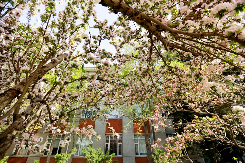 恒峰g22-官网入口--天天有惊喜