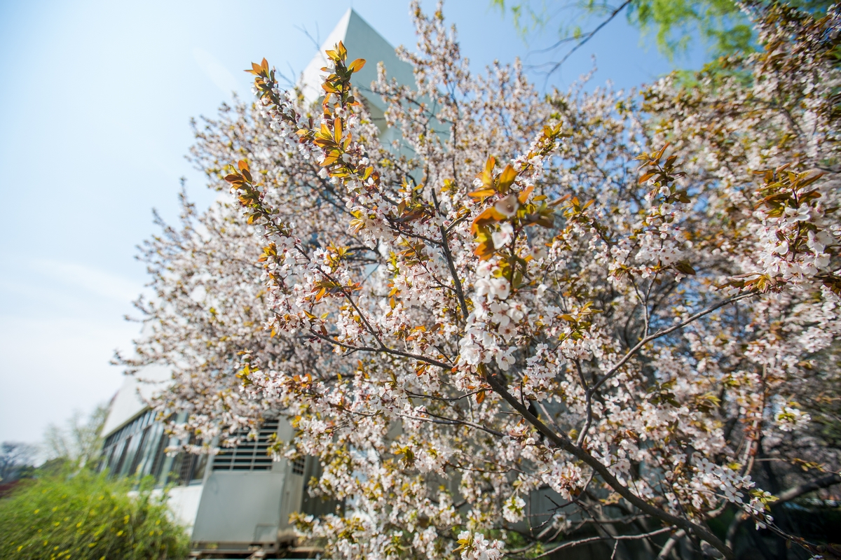 恒峰g22-官网入口--天天有惊喜