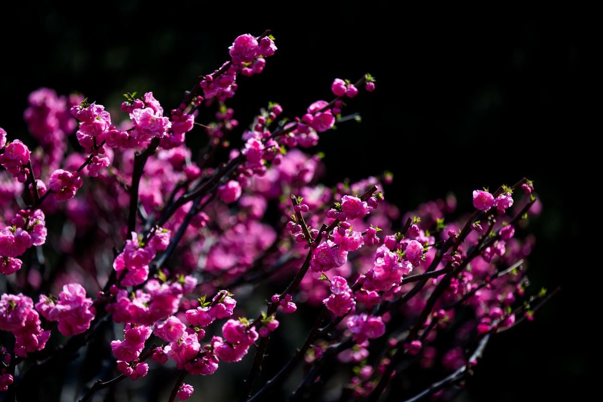 恒峰g22-官网入口--天天有惊喜