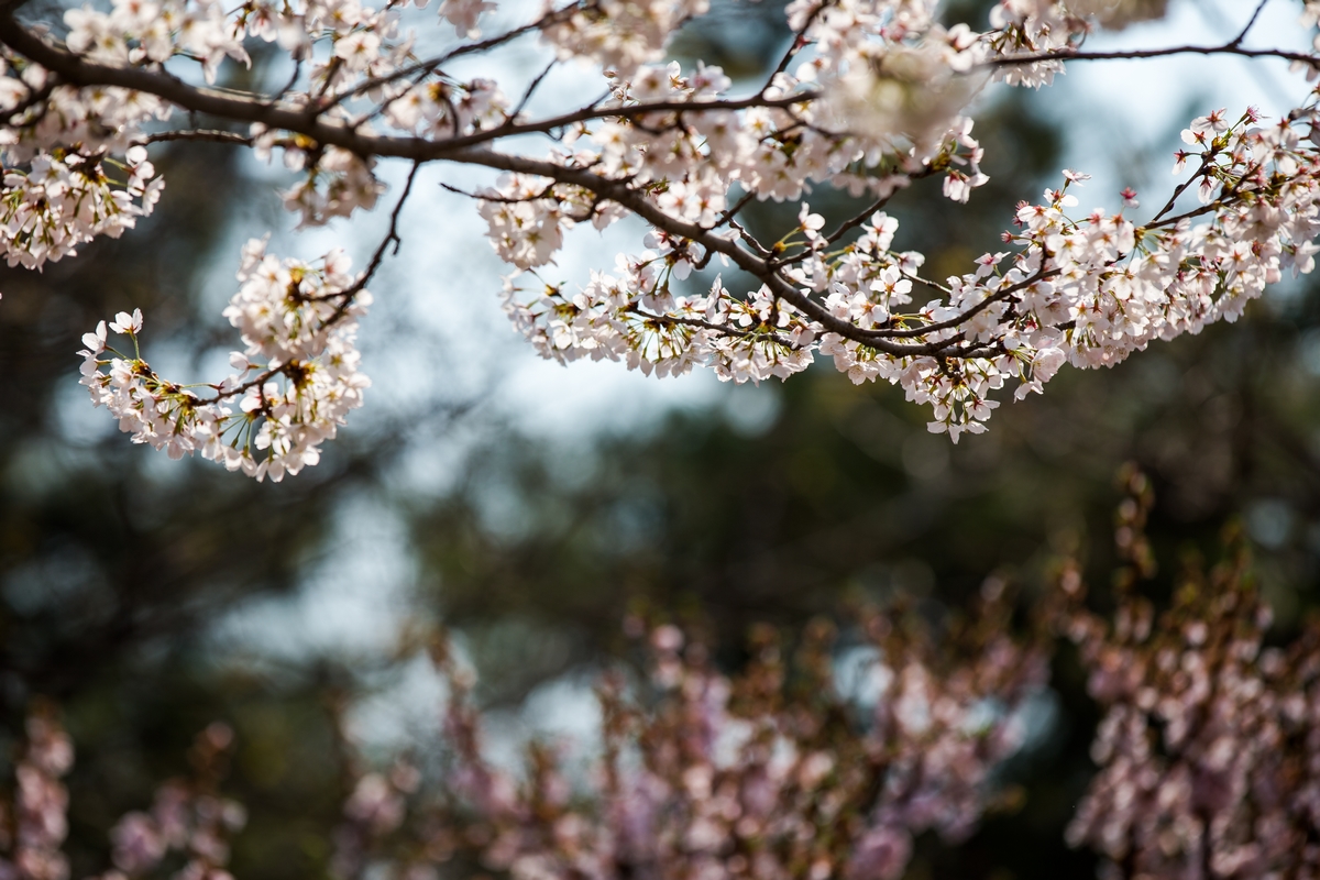 恒峰g22-官网入口--天天有惊喜