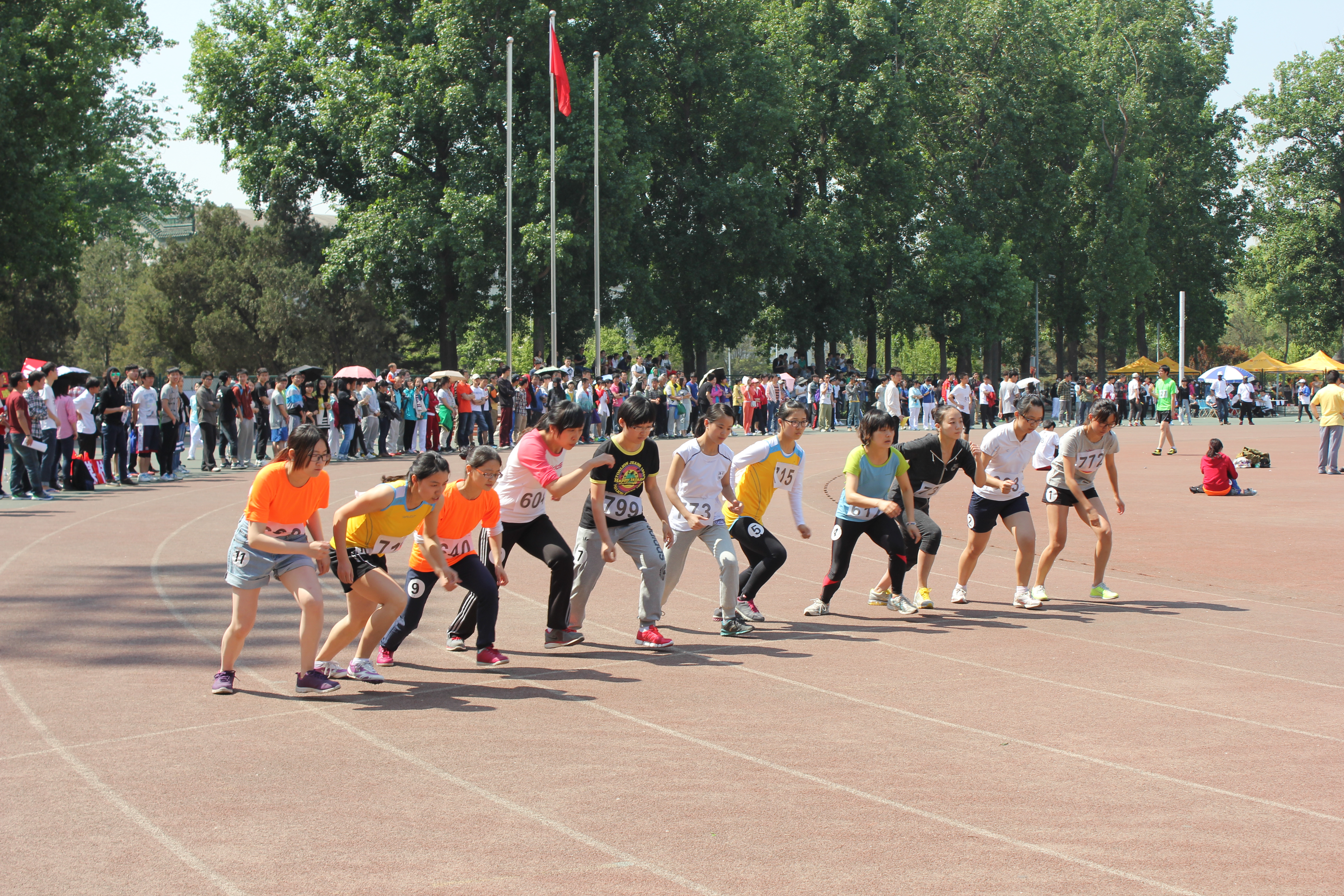 恒峰g22-官网入口--天天有惊喜