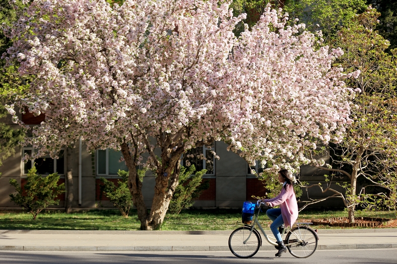 恒峰g22-官网入口--天天有惊喜