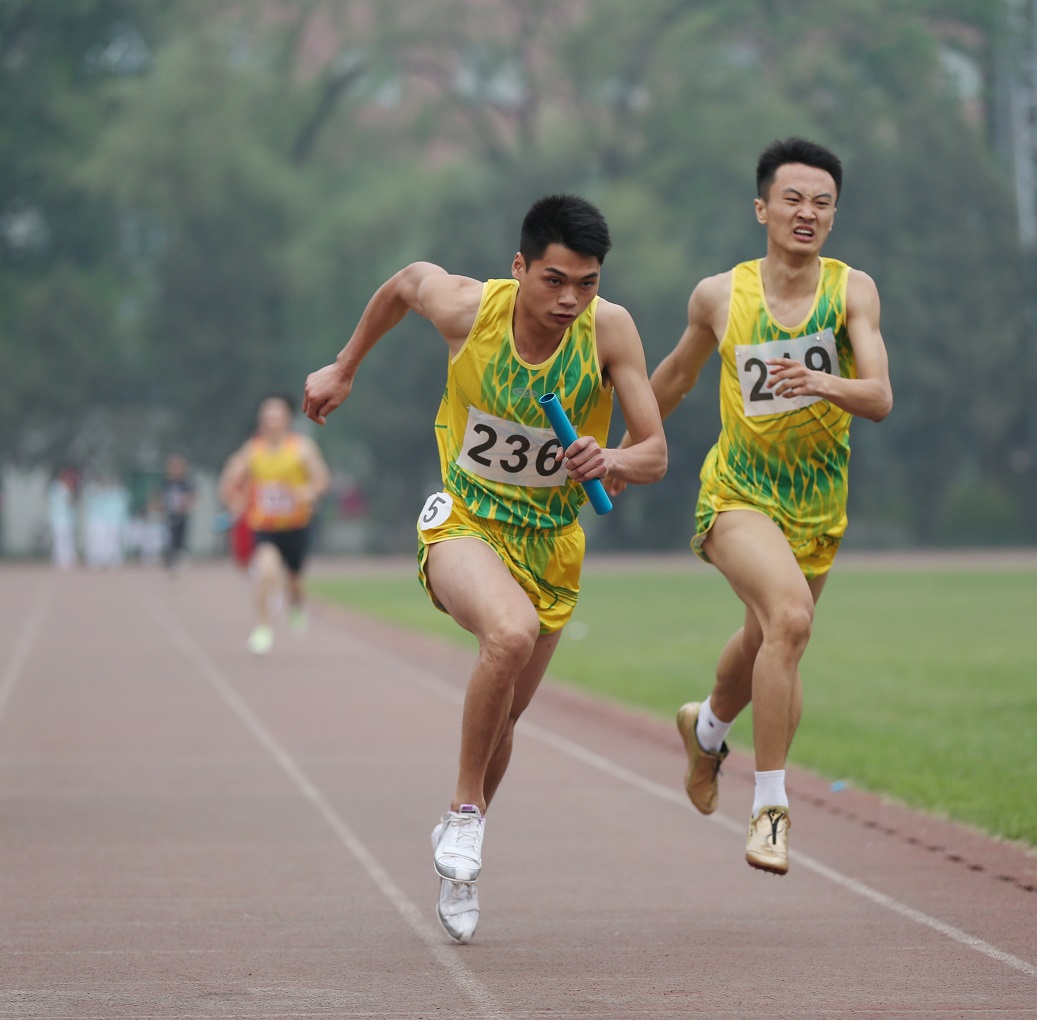 恒峰g22-官网入口--天天有惊喜