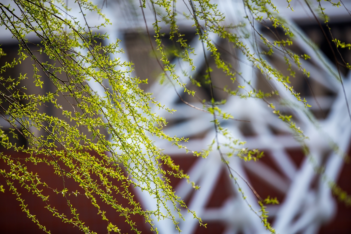 恒峰g22-官网入口--天天有惊喜