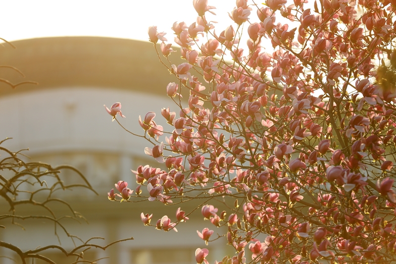 恒峰g22-官网入口--天天有惊喜