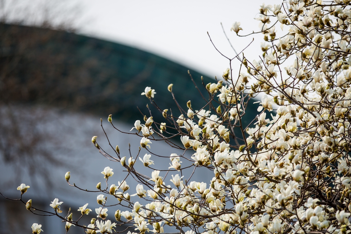 恒峰g22-官网入口--天天有惊喜