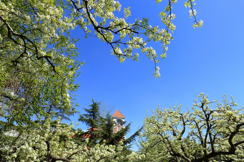 恒峰g22-官网入口--天天有惊喜