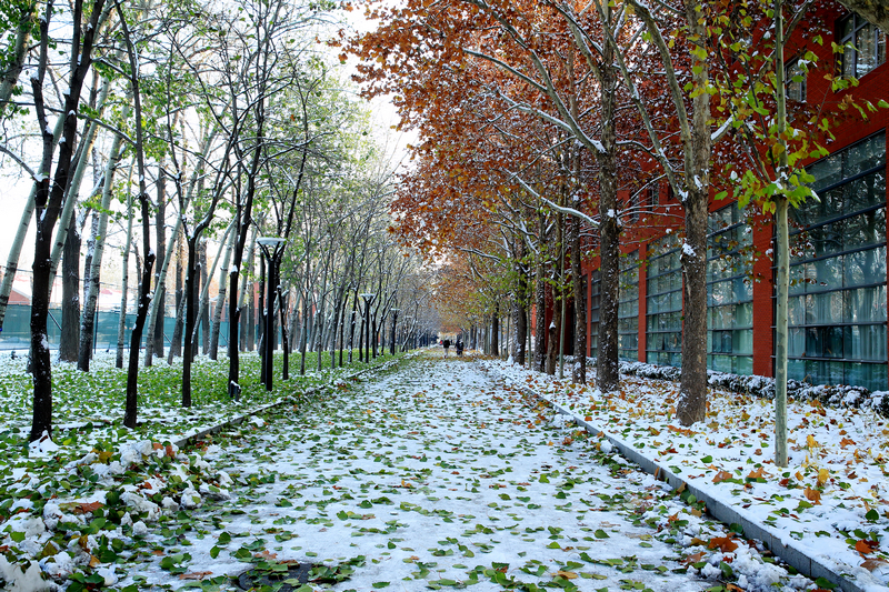 恒峰g22-官网入口--天天有惊喜