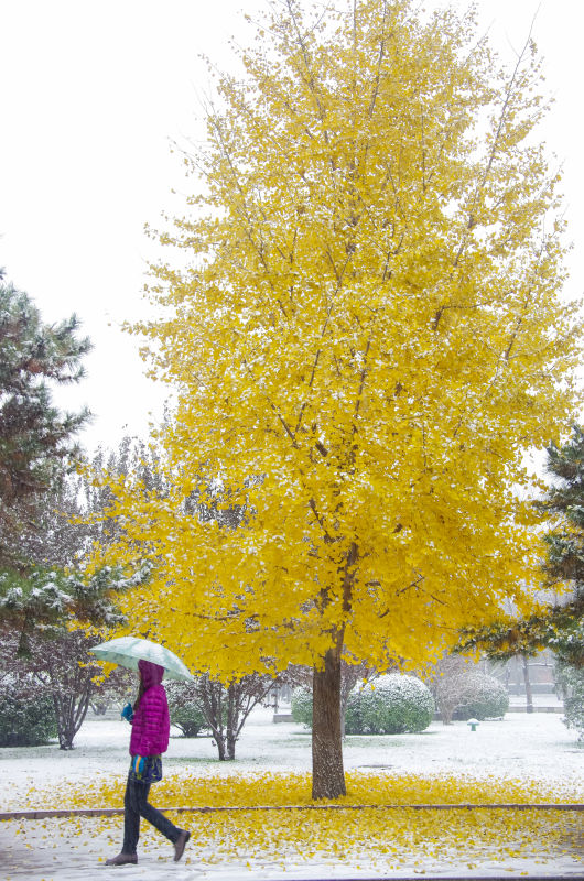 恒峰g22-官网入口--天天有惊喜
