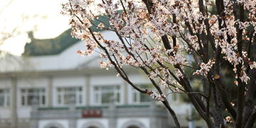 恒峰g22-官网入口--天天有惊喜