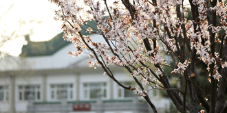 恒峰g22-官网入口--天天有惊喜