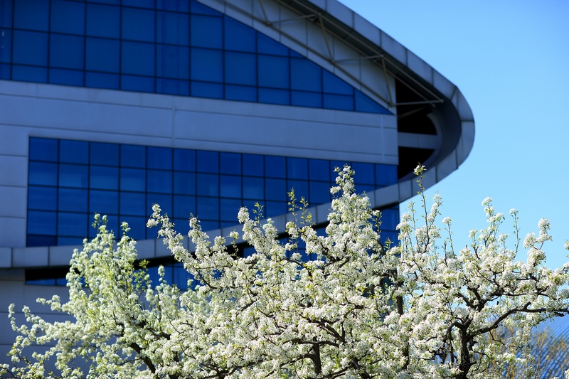 恒峰g22-官网入口--天天有惊喜