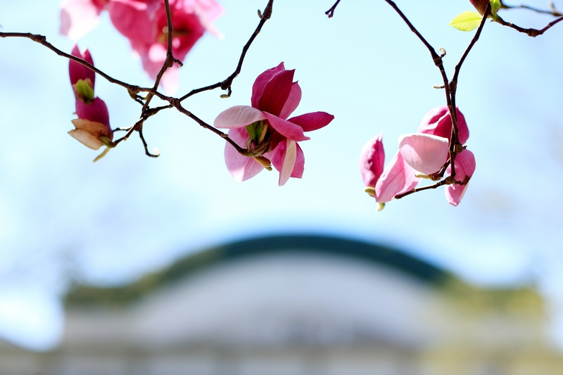 恒峰g22-官网入口--天天有惊喜