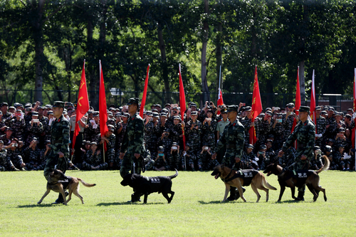 恒峰g22-官网入口--天天有惊喜