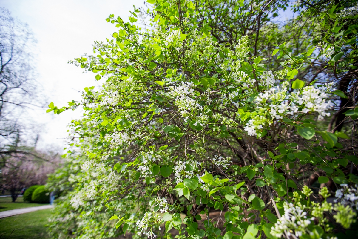 恒峰g22-官网入口--天天有惊喜