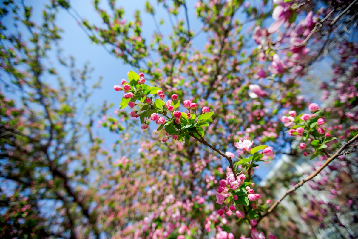 恒峰g22-官网入口--天天有惊喜