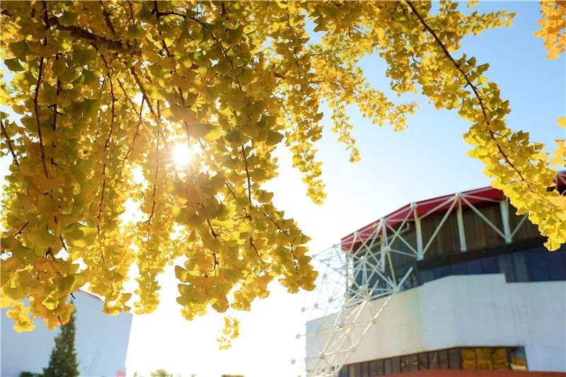 恒峰g22-官网入口--天天有惊喜