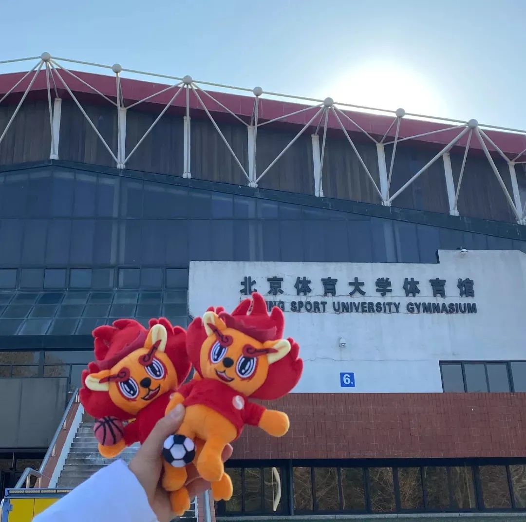 恒峰g22-官网入口--天天有惊喜