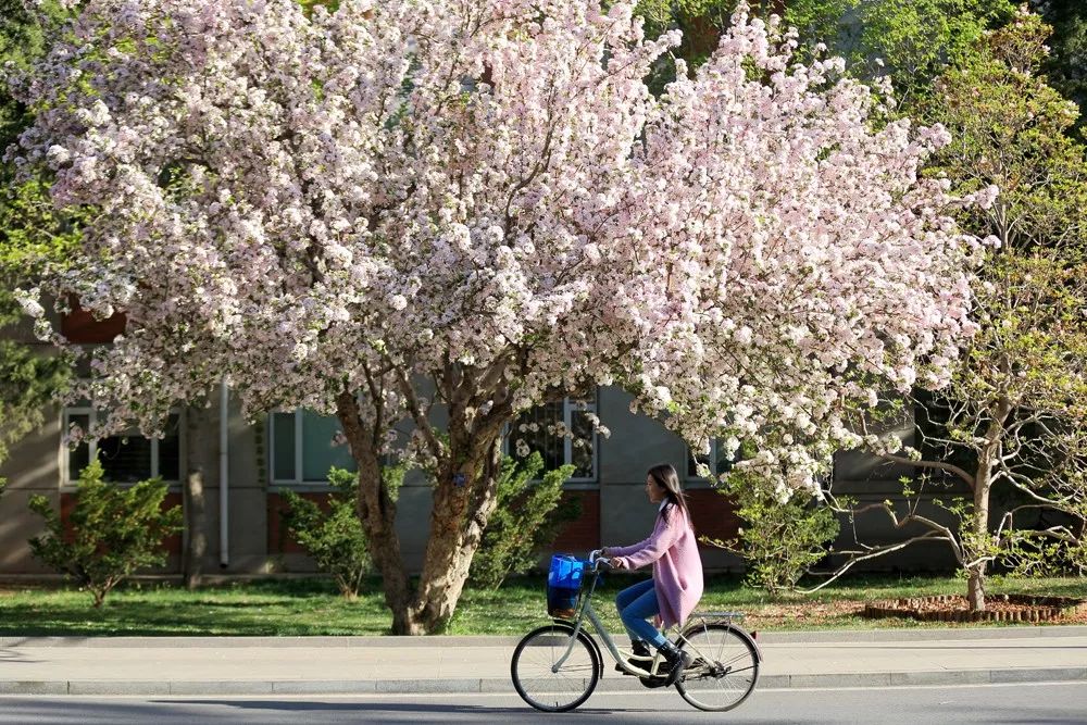 恒峰g22-官网入口--天天有惊喜