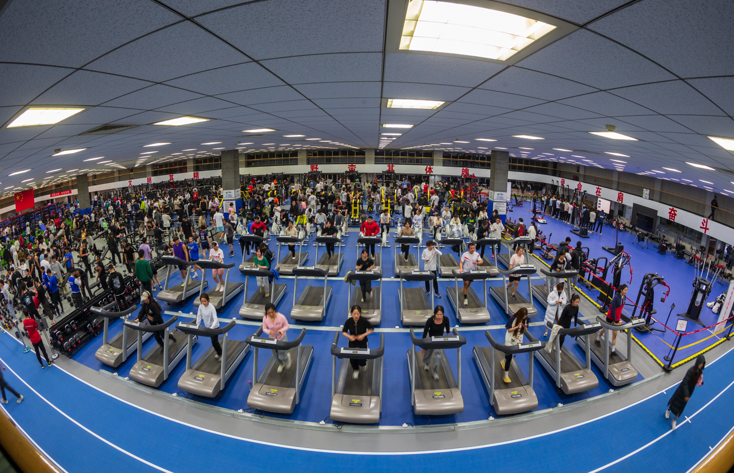 恒峰g22-官网入口--天天有惊喜