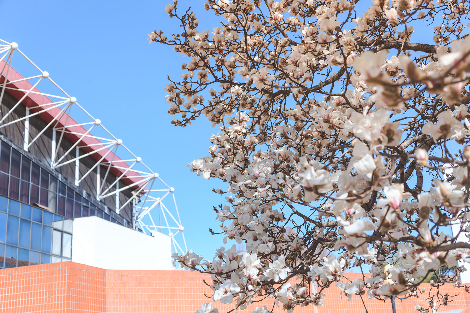 恒峰g22-官网入口--天天有惊喜