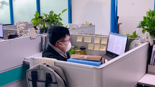 疫情期间，Z6尊龙软件成功研发7套防疫助力软件